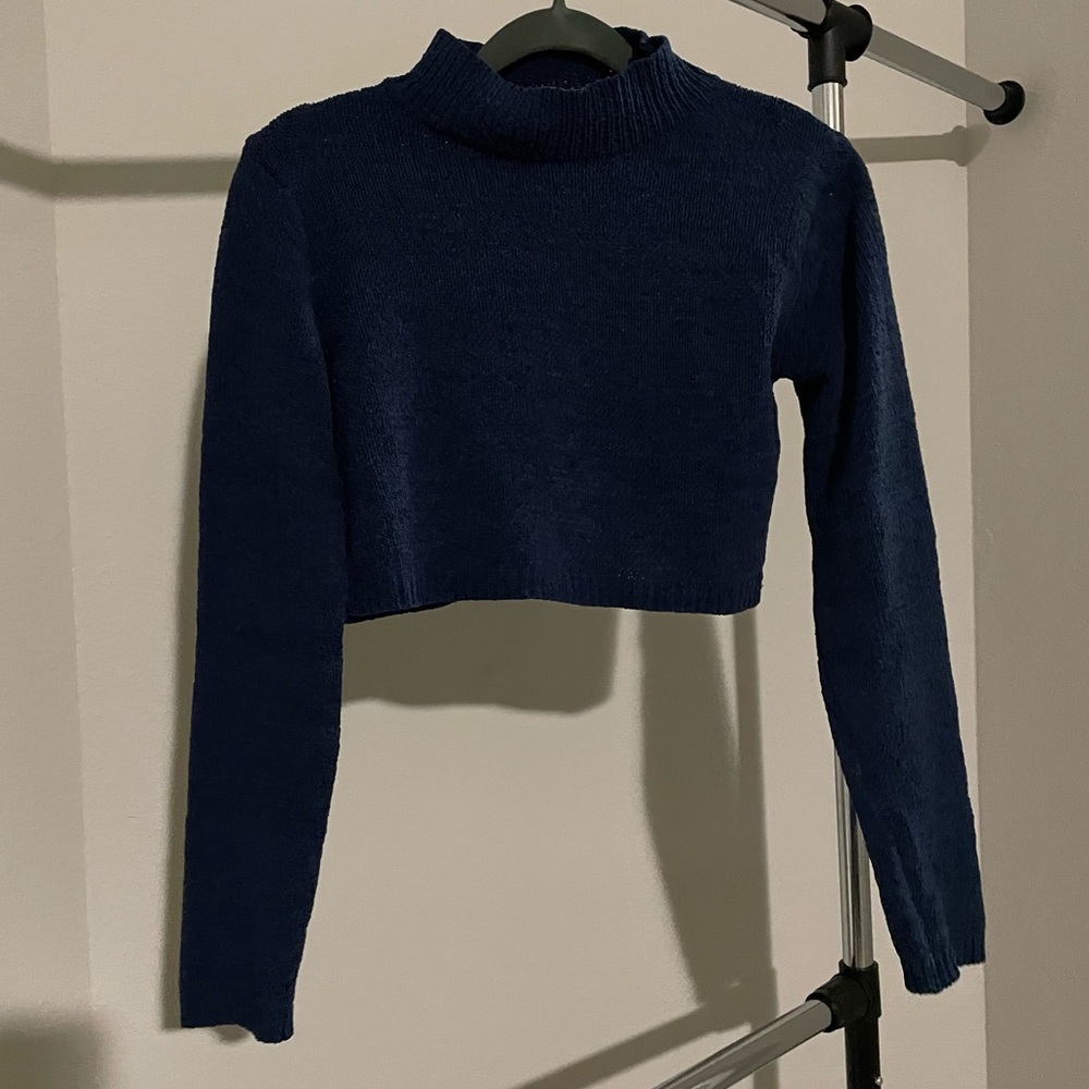 Wild fable cropped sweater